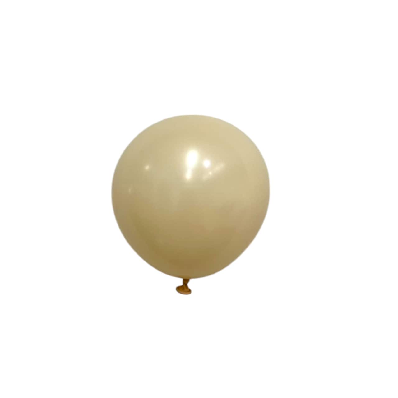 24 Packs: 25 ct. (600 total) 5" Solid Latex Balloons by Celebrate It™